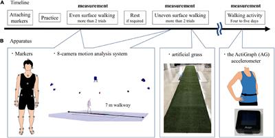 Effect of Walking Adaptability on an Uneven Surface by a Stepping Pattern on Walking Activity After Stroke